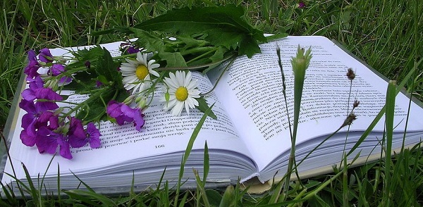 książka na trawie