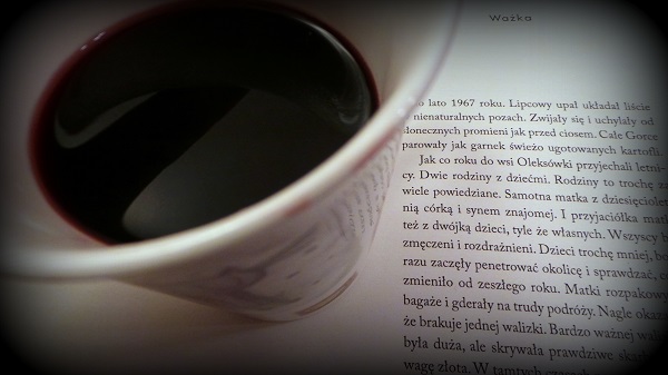 Wino i książka
